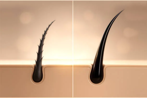 dermatologista de cabelo